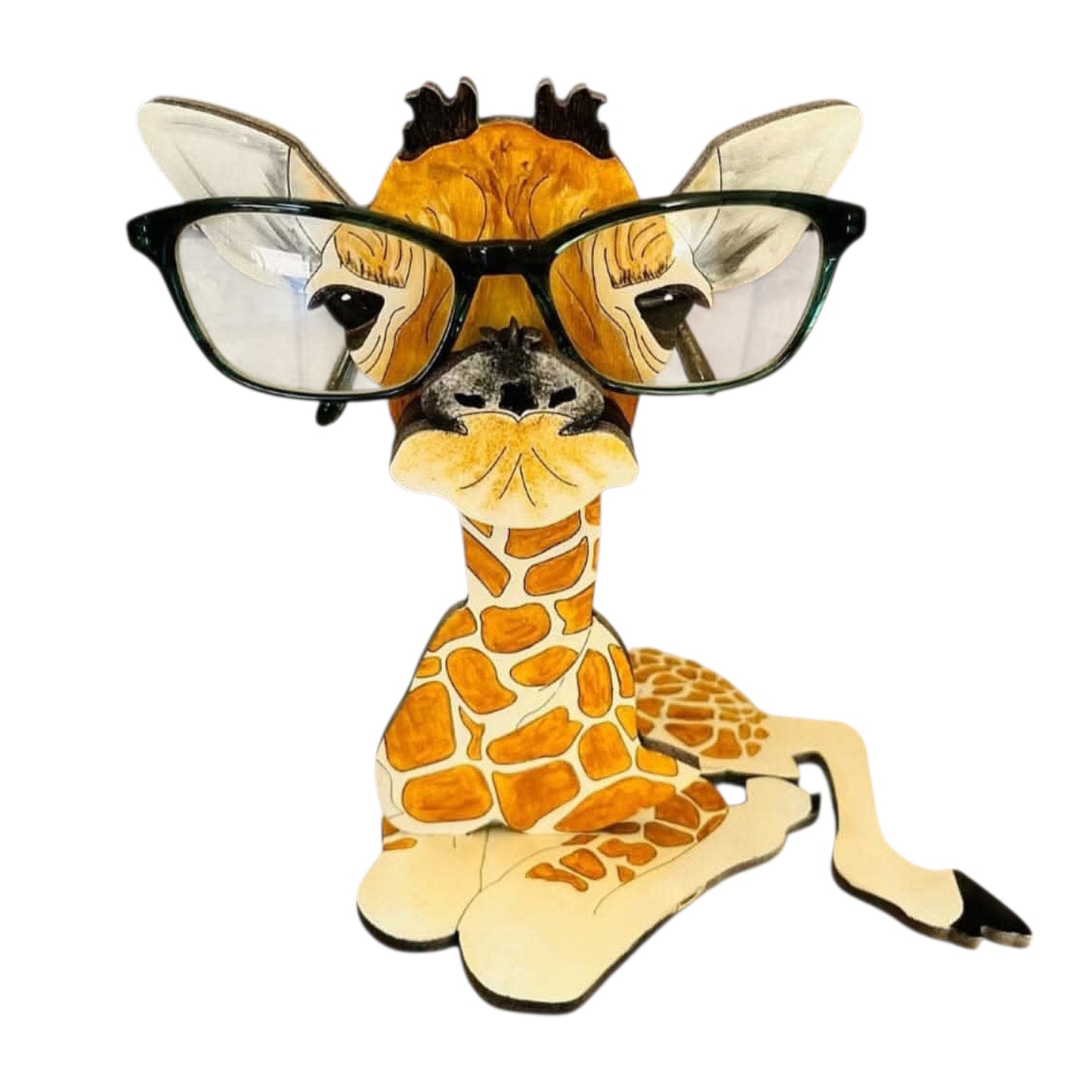 Eyeglass holders